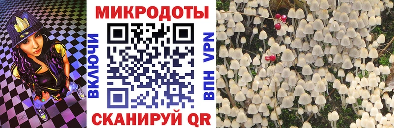 Галлюциногенные грибы Psilocybine cubensis  Крым 